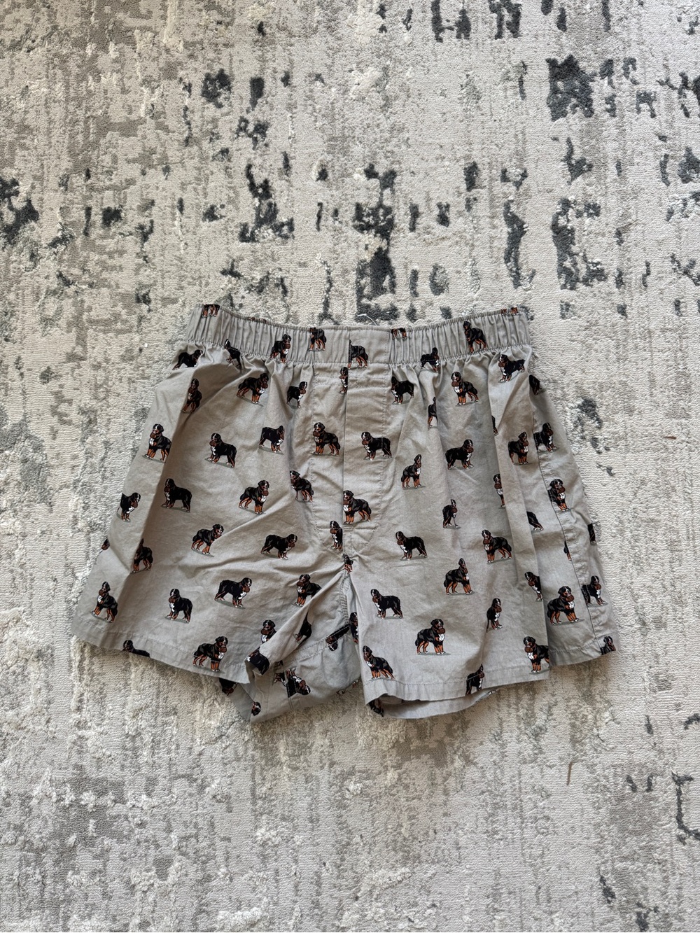 NWOT Men's J Crew Boxer Shorts Dog Print S